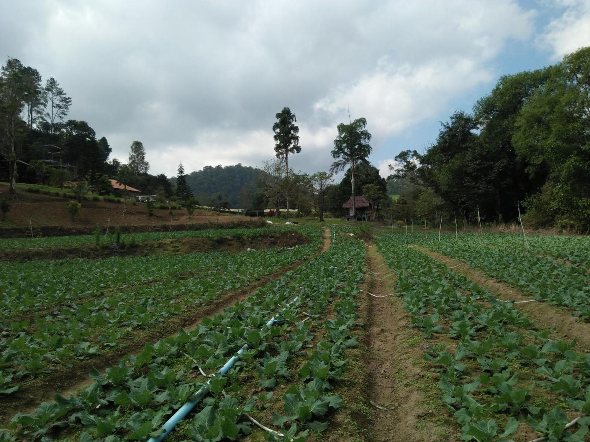 Mong Homestay Resort Pang Ung Extérieur photo