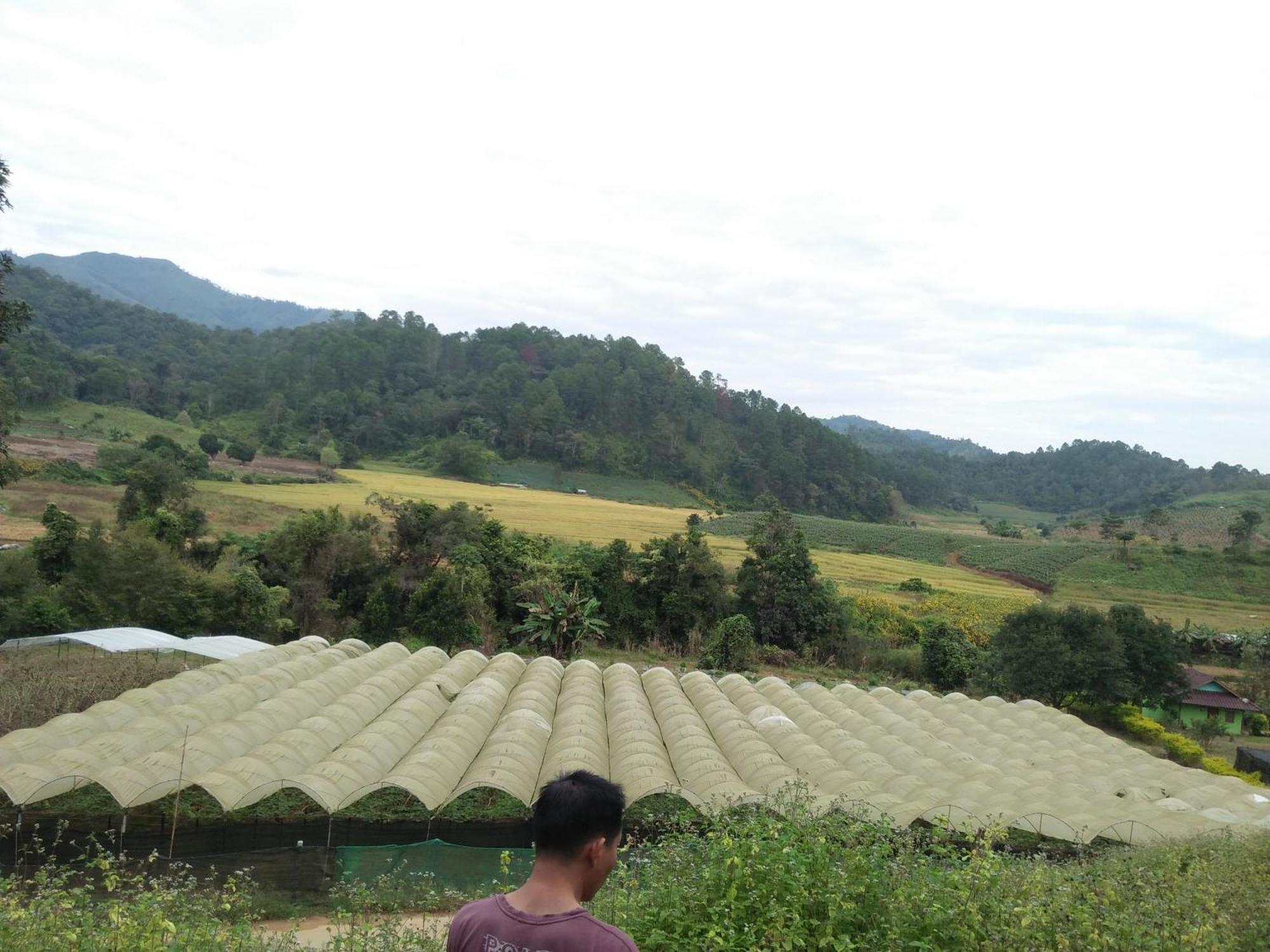 Mong Homestay Resort Pang Ung Extérieur photo